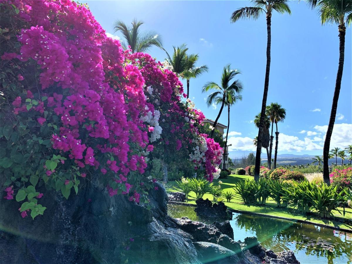 Coconut At Shores - Waikoloa Beach Resort 外观 照片