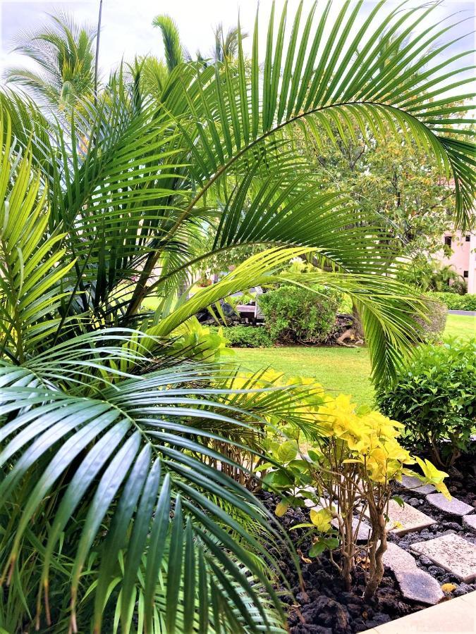 Coconut At Shores - Waikoloa Beach Resort 外观 照片